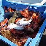 La Maison Sur Le Port 4 Pers Vue 카시스