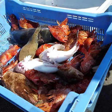 La Maison Sur Le Port 4 Pers Vue كاسيس